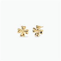 Orecchini Kidult Donna in Acciaio 861094 - 861094